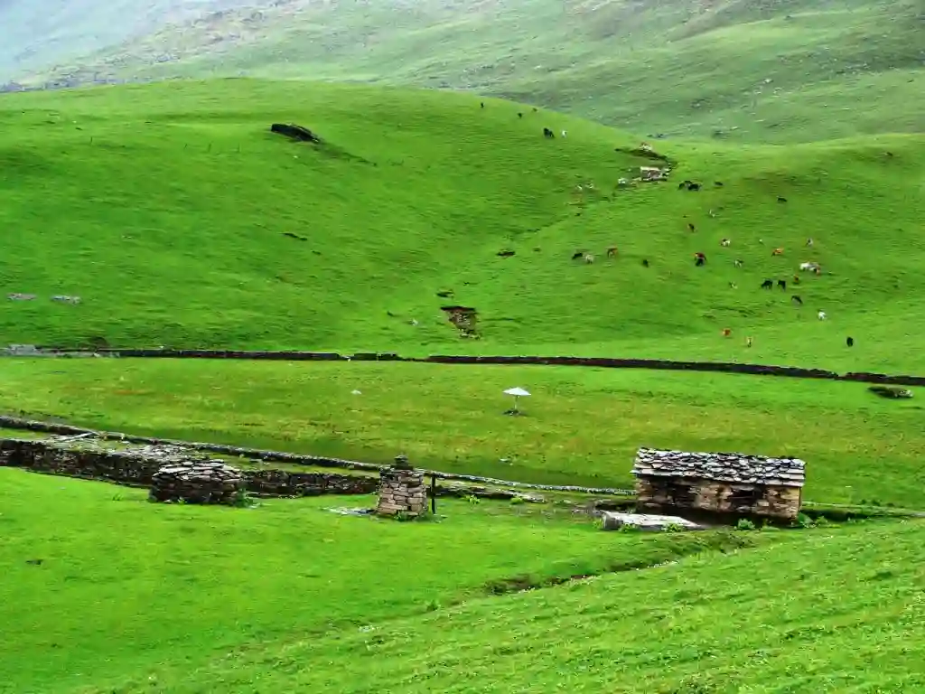 Ali Bedani Bugyal Trek