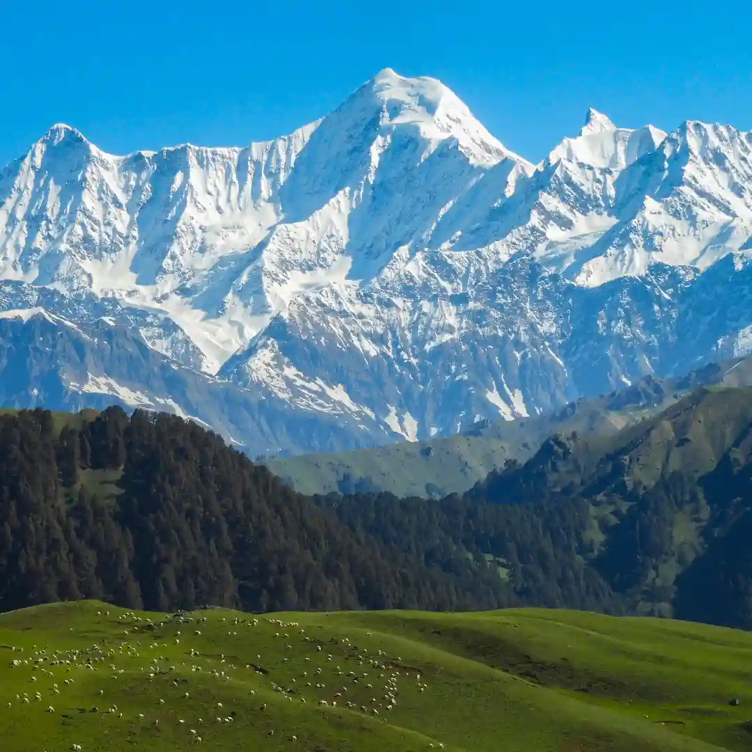 Dayara Bugyal Trek - High Altitude Alpine Meadow Trek in Uttarkashi, Uttarakhand