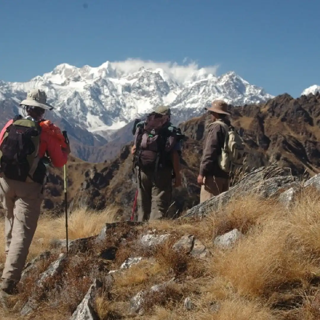 Kuari Pass Trek - Lord Curzon Trail with Nanda Devi Views in Uttarakhand